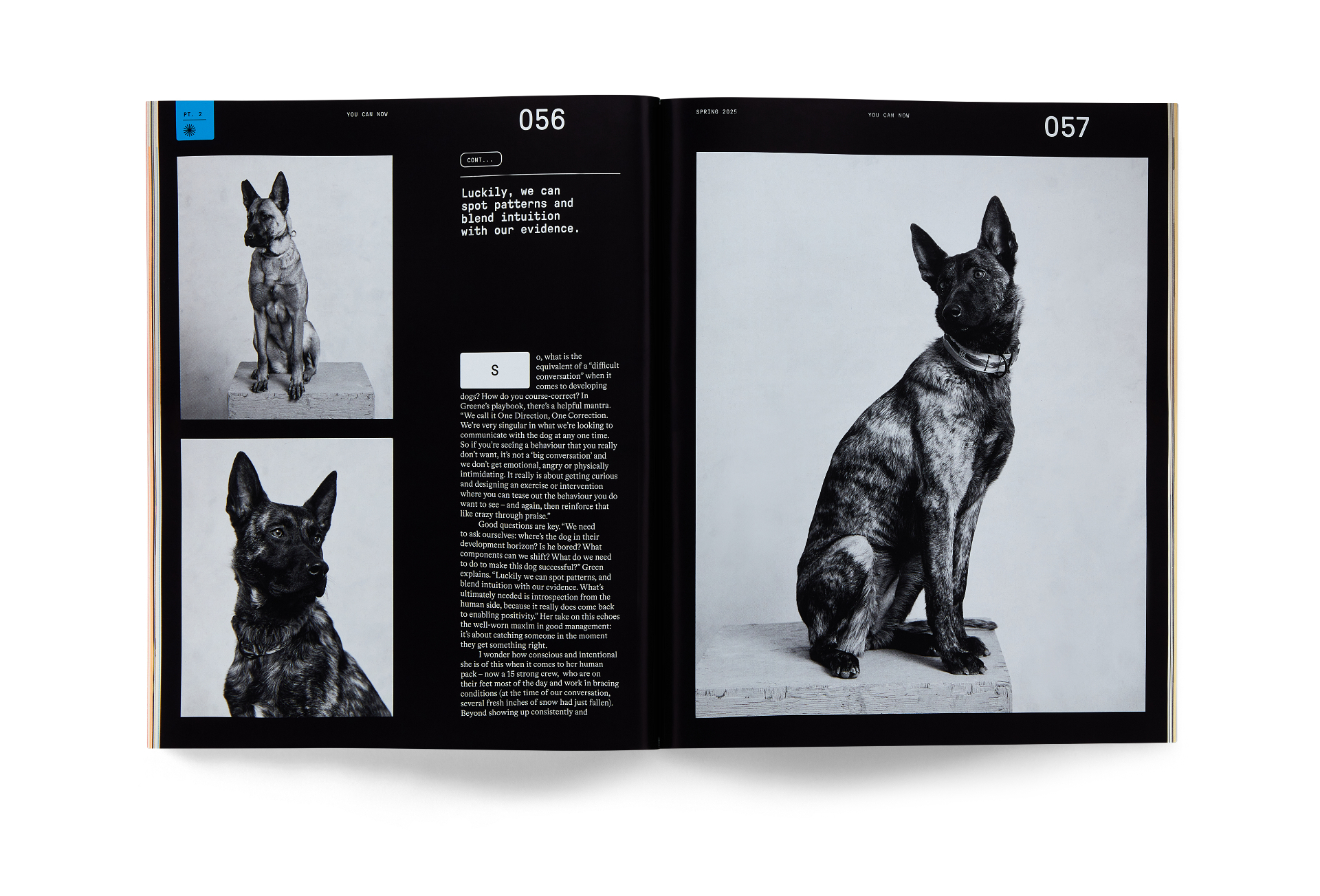 Svalinn: The Dogs of Montana — Kim Greene