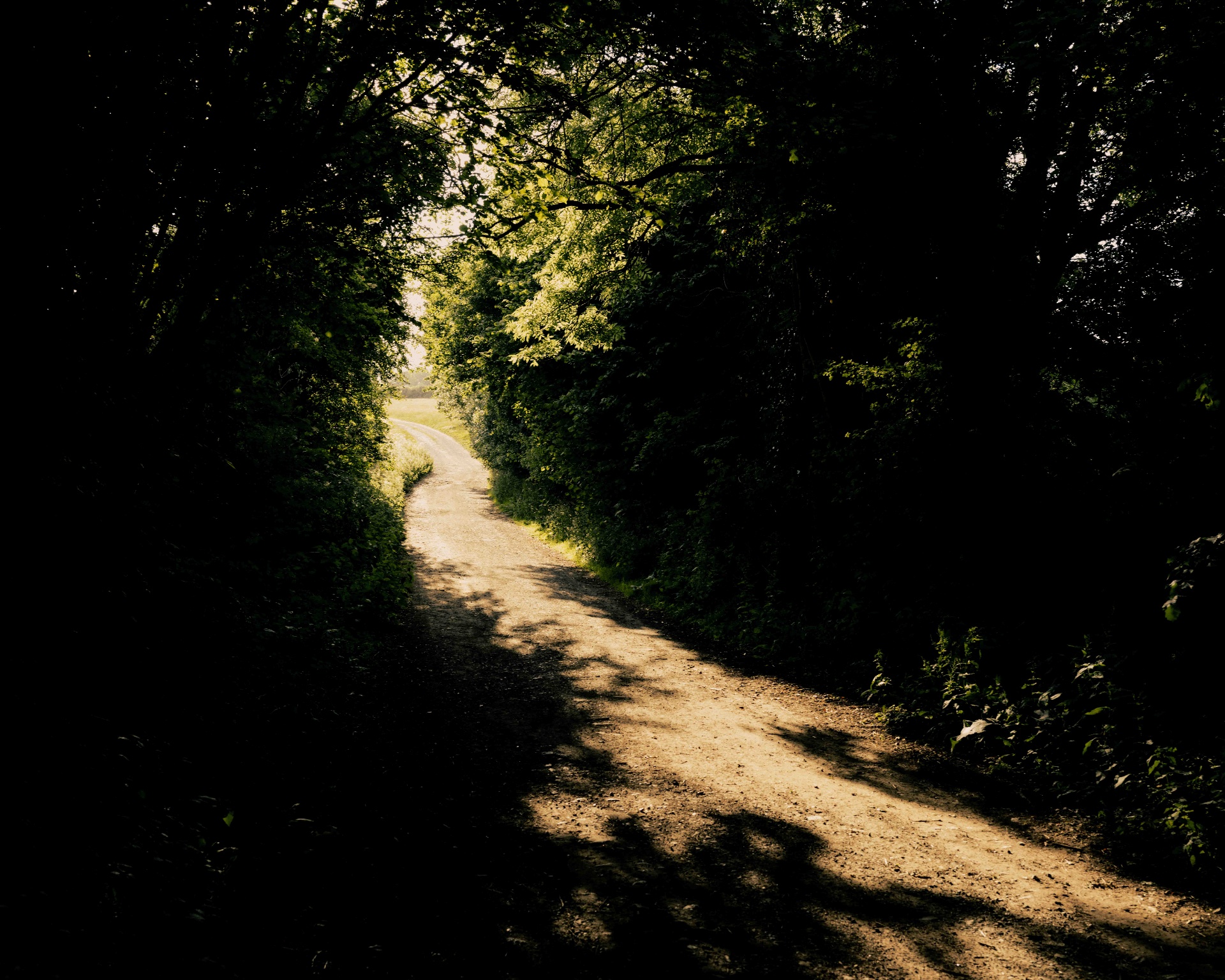 A narrow path winding through dense green hedgerows toward a bright opening