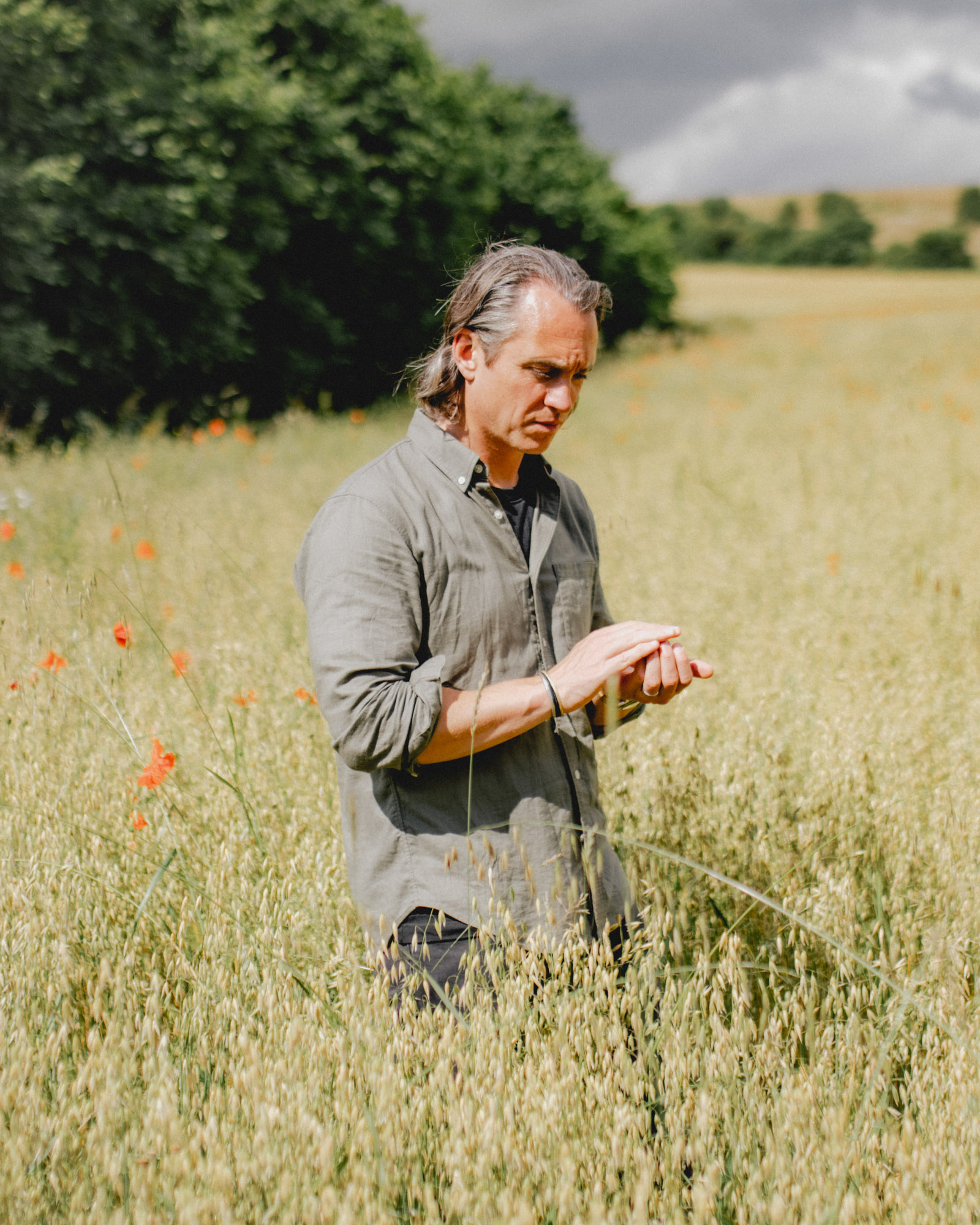 Andy Cato inspecting oats in a field