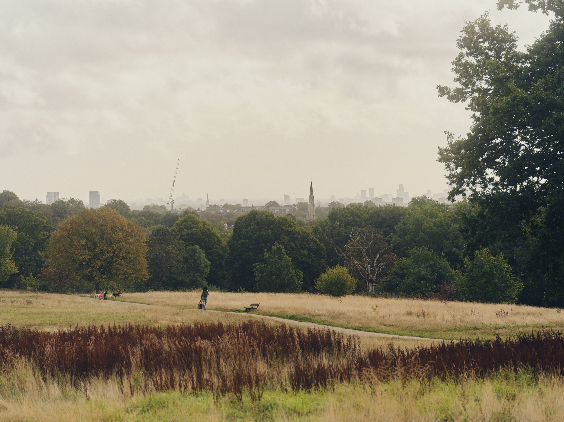 View across a heath towards a hazy London skyline