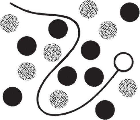 Platform and integrations